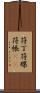 符丁 Scroll