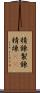 精錬 Scroll
