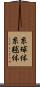 糸球体 Scroll
