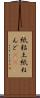 紙粘土 Scroll