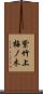 紫竹上梅ノ木 Scroll