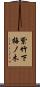 紫竹下梅ノ木 Scroll
