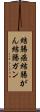 結腸癌 Scroll