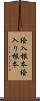 絵入根本 Scroll