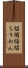 絽縮緬 Scroll