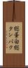 総蛋白 Scroll