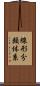 線形分類体系 Scroll