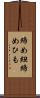 締め紐 Scroll