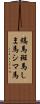 縞馬;斑馬;しま馬;シマ馬 Scroll