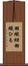 羽織紐 Scroll