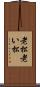 老松 Scroll