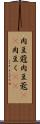 肉豆蒄 Scroll