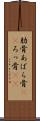 肋骨 Scroll