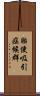 胎便吸引症候群 Scroll