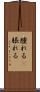 腫れる(P) Scroll