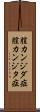 膣カンジダ症 Scroll