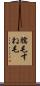 臑毛 Scroll