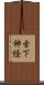 舌下神経 Scroll