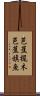 芭蕉梶木 Scroll