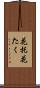 花托 Scroll