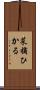 菜摘ひかる Scroll