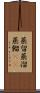 蒸留 Scroll