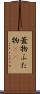 蓋物 Scroll
