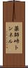 薬師峠トンネル Scroll