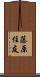 藤原住友 Scroll