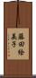 藤田絵美子 Scroll
