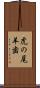 虎の尾羊歯 Scroll