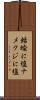蛞蝓に塩 Scroll