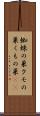 蜘蛛の巣 Scroll