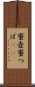 蜜壺 Scroll