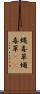 蝿毒草 Scroll