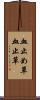 血止め草 Scroll