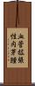 血管拡張性肉芽腫 Scroll