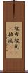 被布 Scroll
