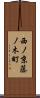 西ノ京藤ノ木町 Scroll