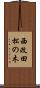 西改田松の木 Scroll