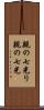 親の七光り Scroll