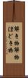 解き物 Scroll