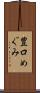 豊口めぐみ Scroll