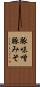 豚味噌 Scroll