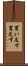買い足す Scroll
