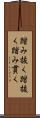 踏み抜く Scroll