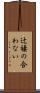 辻褄の合わない Scroll