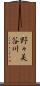 野々美谷川 Scroll