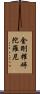 金剛摧碎陀羅尼 Scroll