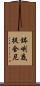 鉢喇底提舍尼 Scroll